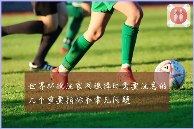 世界杯投注官网选择时需要注意的几个重要指标和常见问题