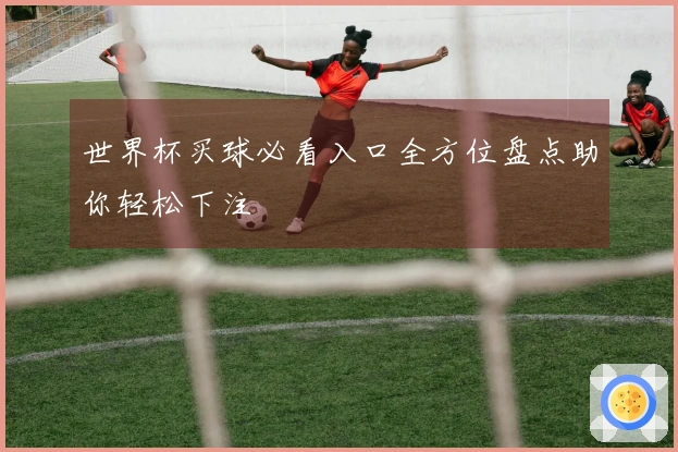 世界杯买球必看入口全方位盘点助你轻松下注