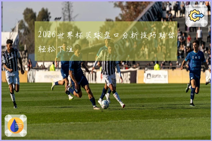 2026世界杯买球盘口分析技巧助你轻松下注