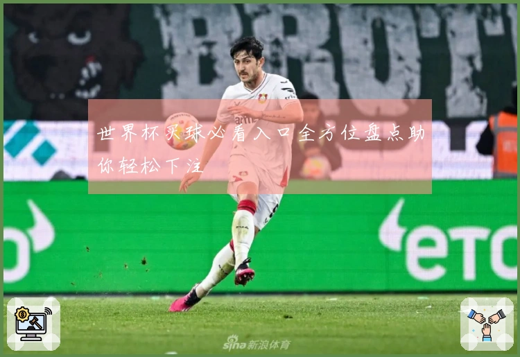 世界杯买球必看入口全方位盘点助你轻松下注