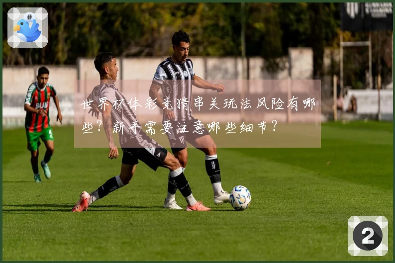 世界杯体彩竞猜串关玩法风险有哪些？新手需要注意哪些细节？